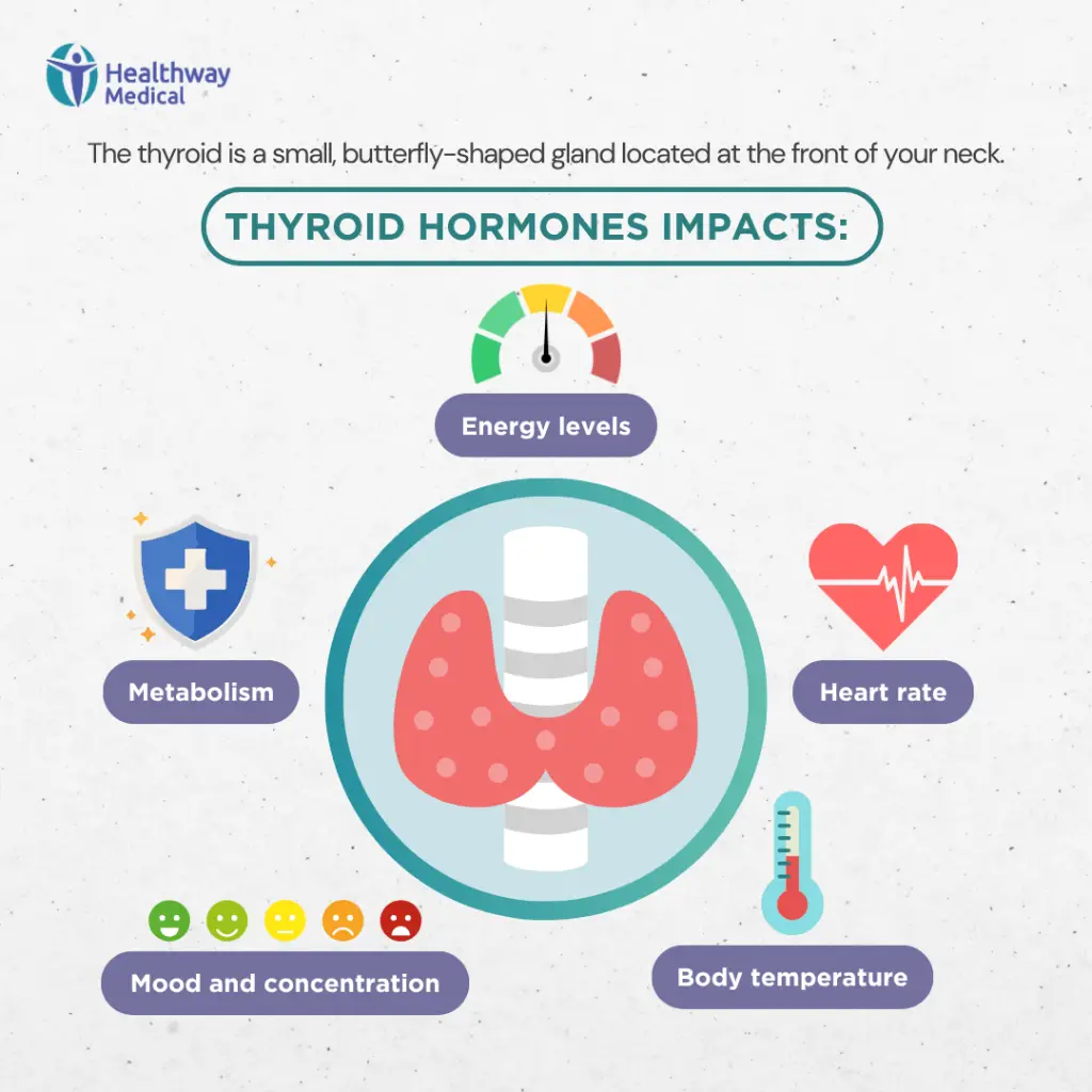 Thyroid Infographics