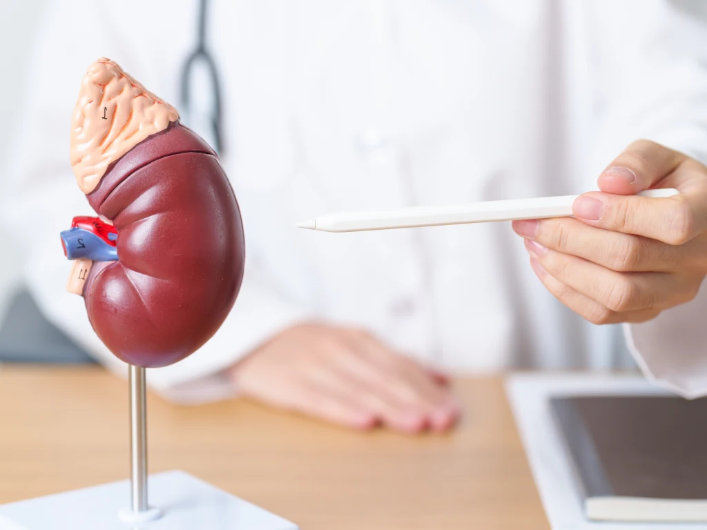Kelenjar adrenal penyakit Addison