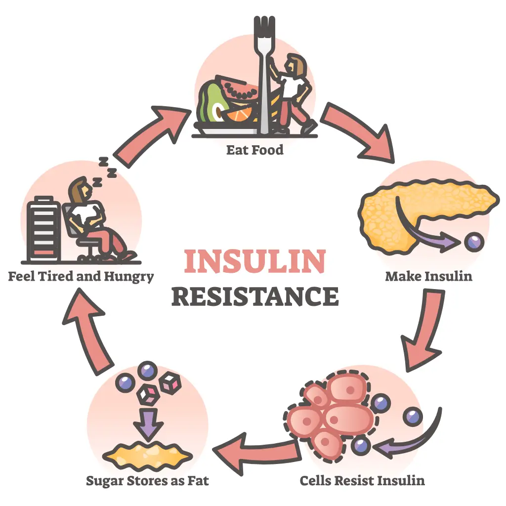 Apakah Rintangan Insulin