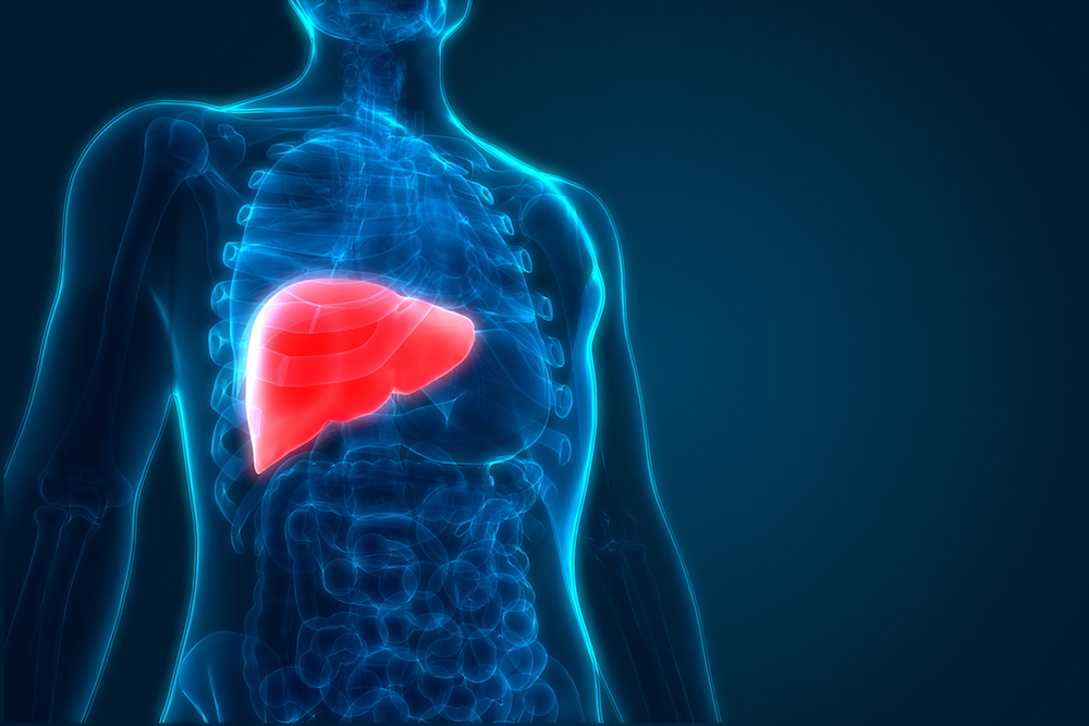 liver-cancer-marker-alpha-fetoprotein-afp-nobel-medical-group