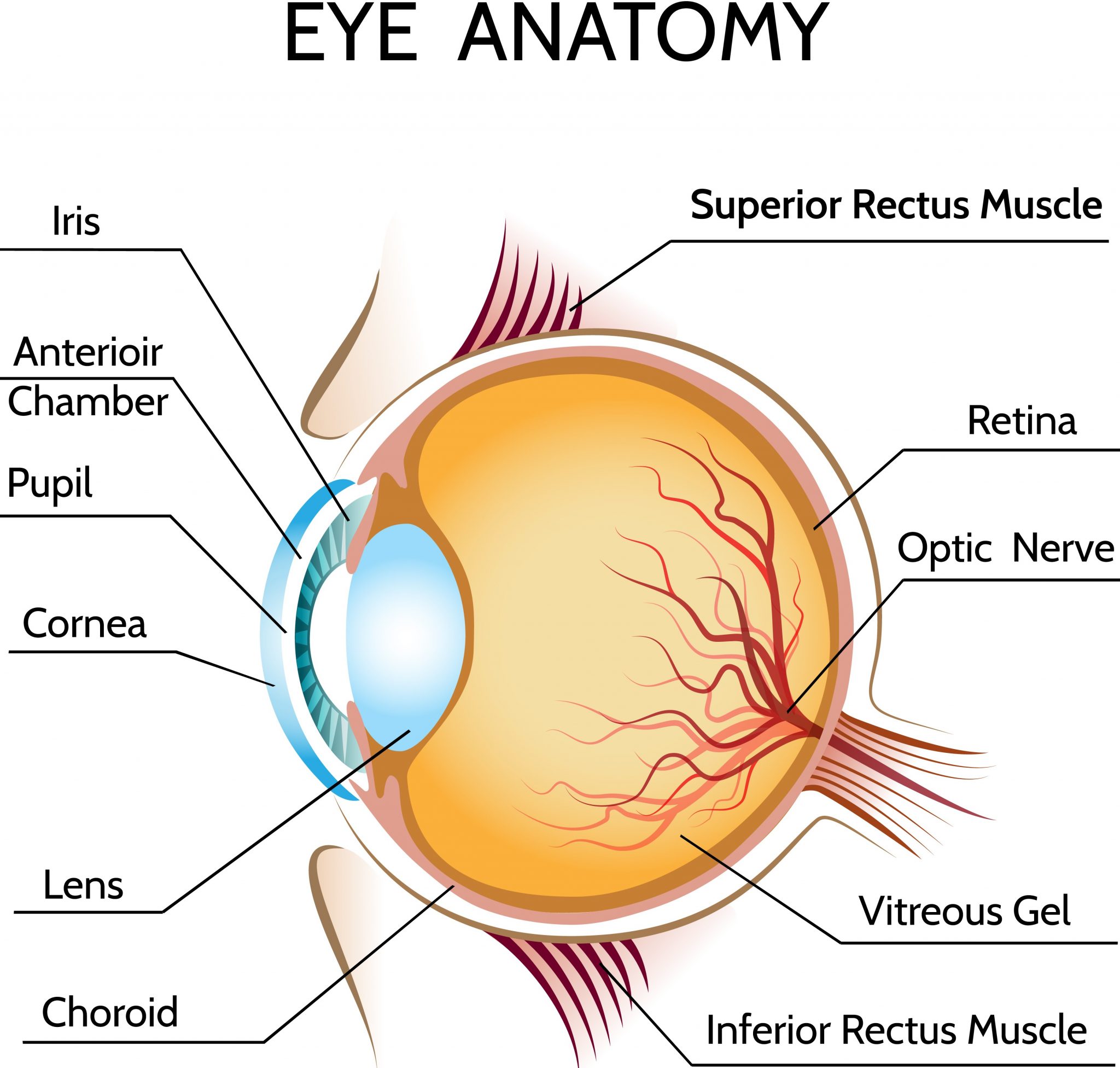 cataract-surgery-nobel-medical-group